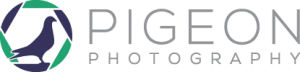 logo - pigeonphotography - pigeonphotos - pigeon photo